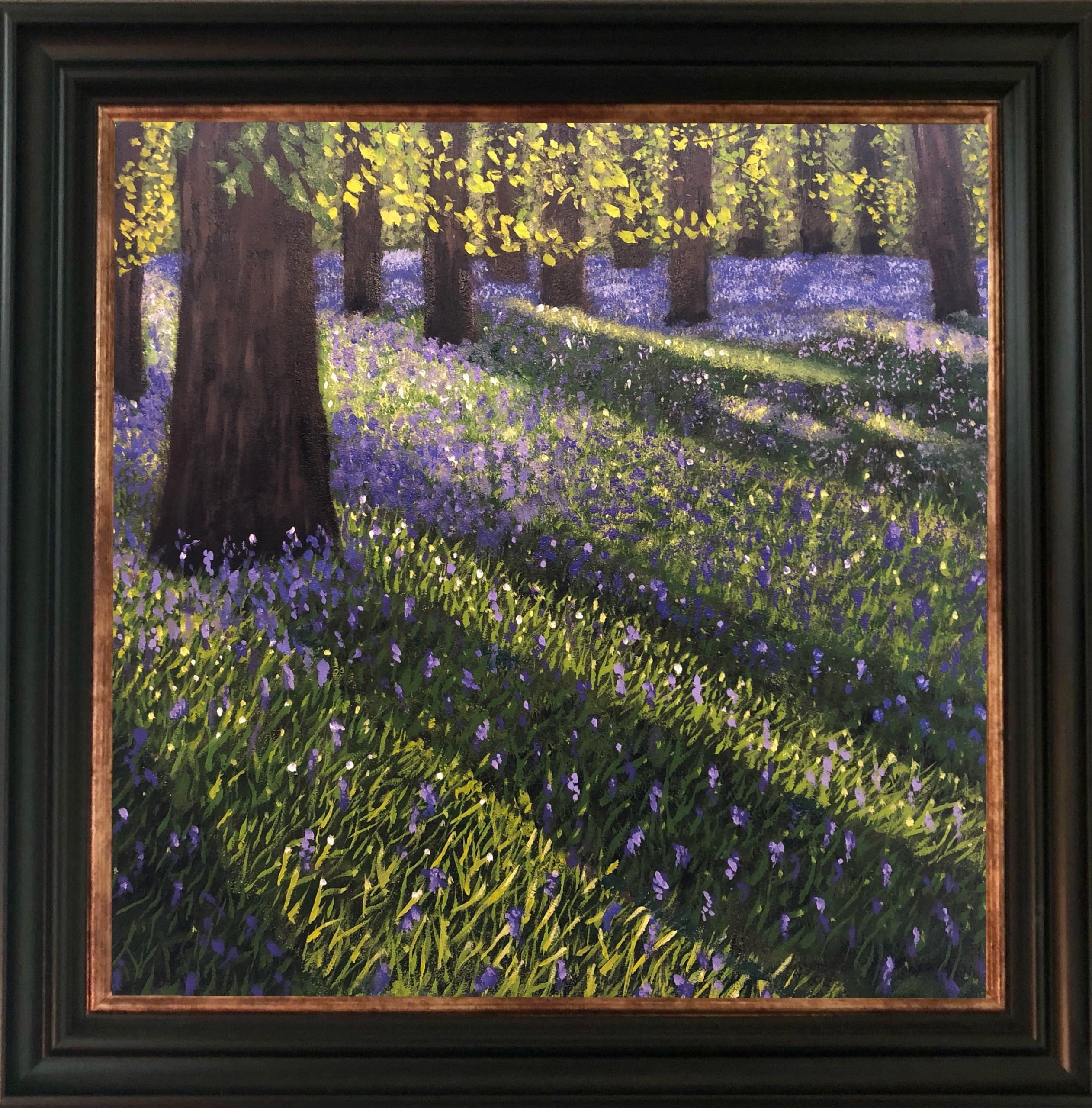 Bluebell Woods