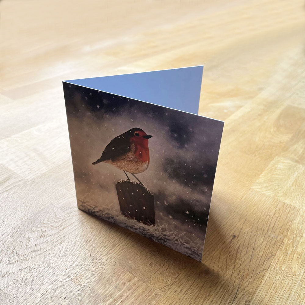 Christmas Robin Greetings Card